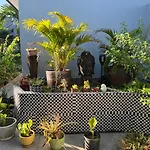 Pasifika Guesthouse