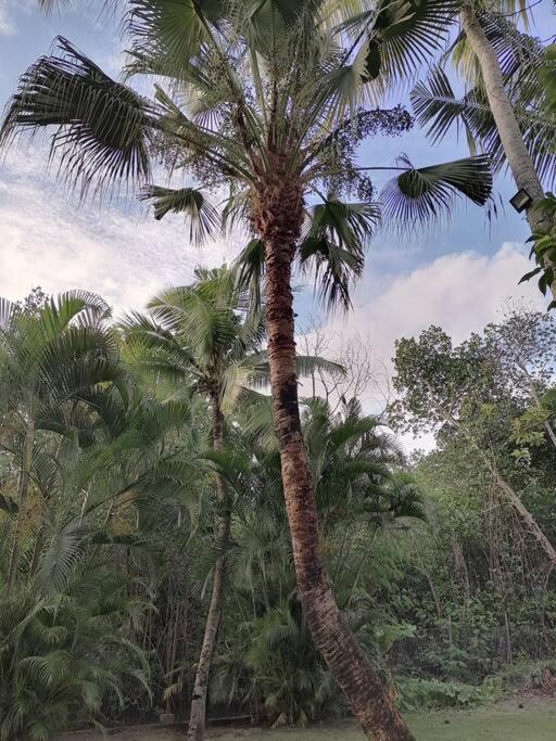 Private Nasoso 4 Bedroom House Holiday home Nadi