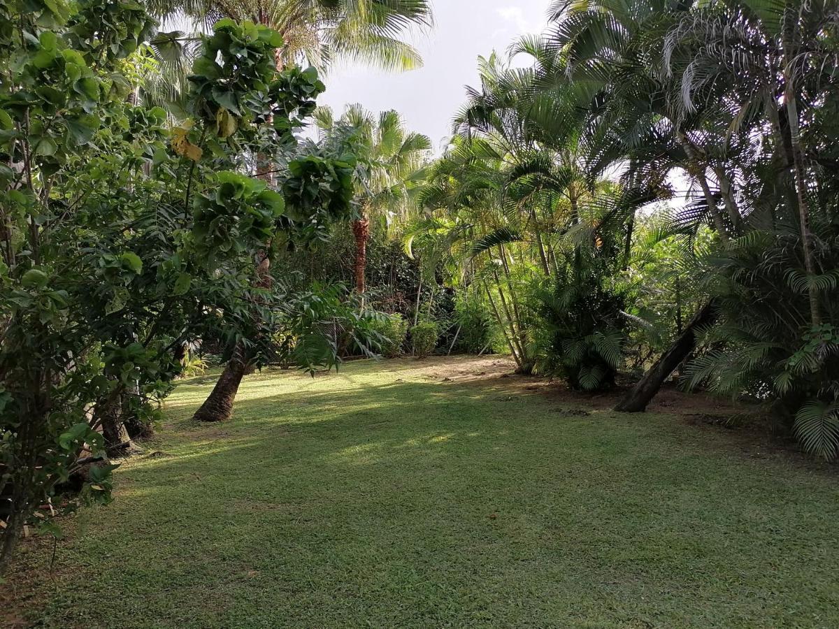 Private One Bedroom Guest house *