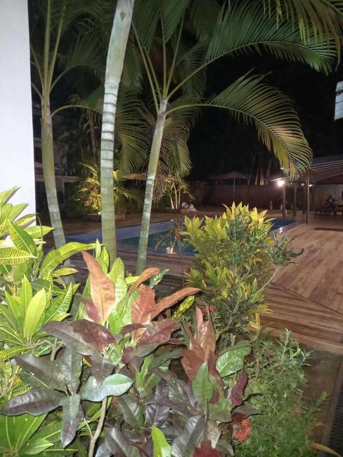 Oasis Palms 4*