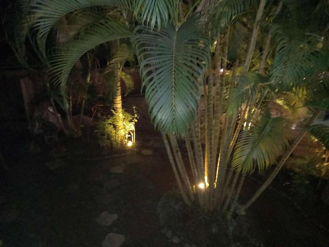 Oasis Palms Hotel