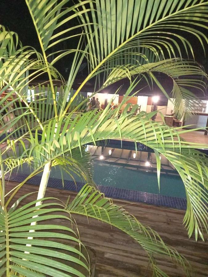 Hotel Oasis Palms
