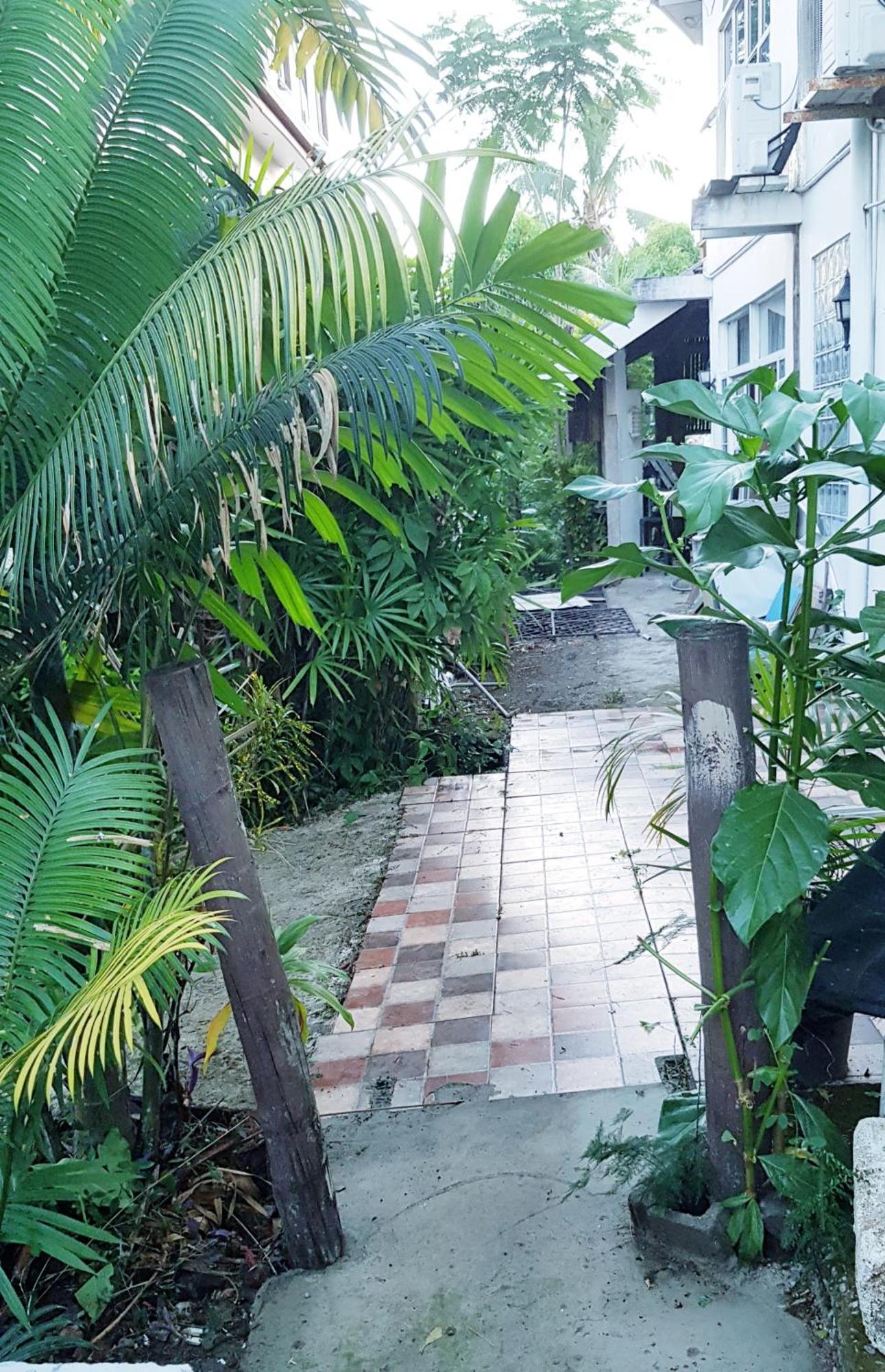 Martintar 1 * Nadi