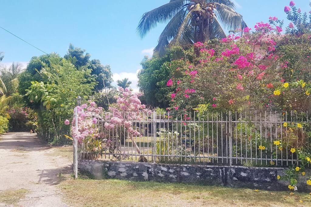 - 2 Apartment Nadi