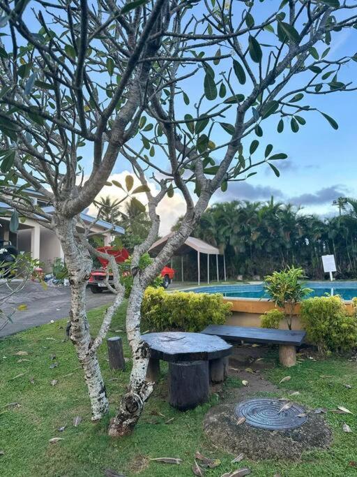 Ambitious Lot 7 Apartment *