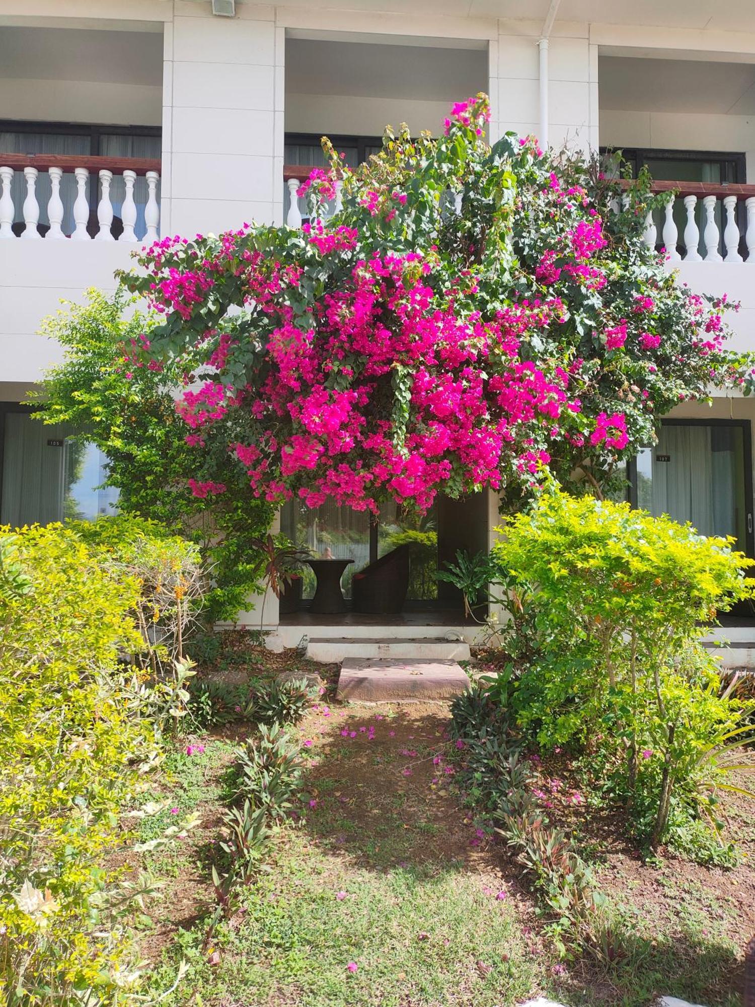 Fancy 3* Nadi