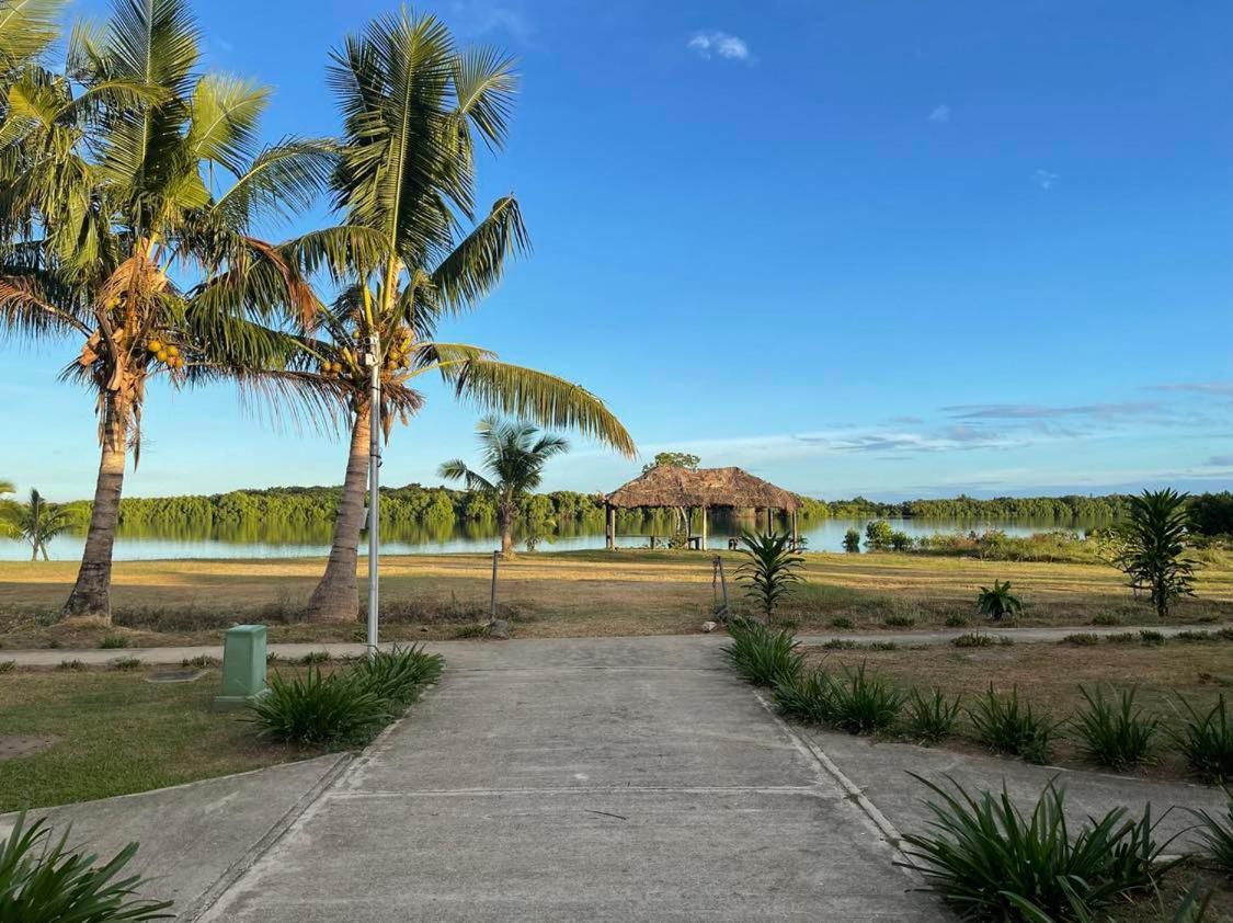 Bula *