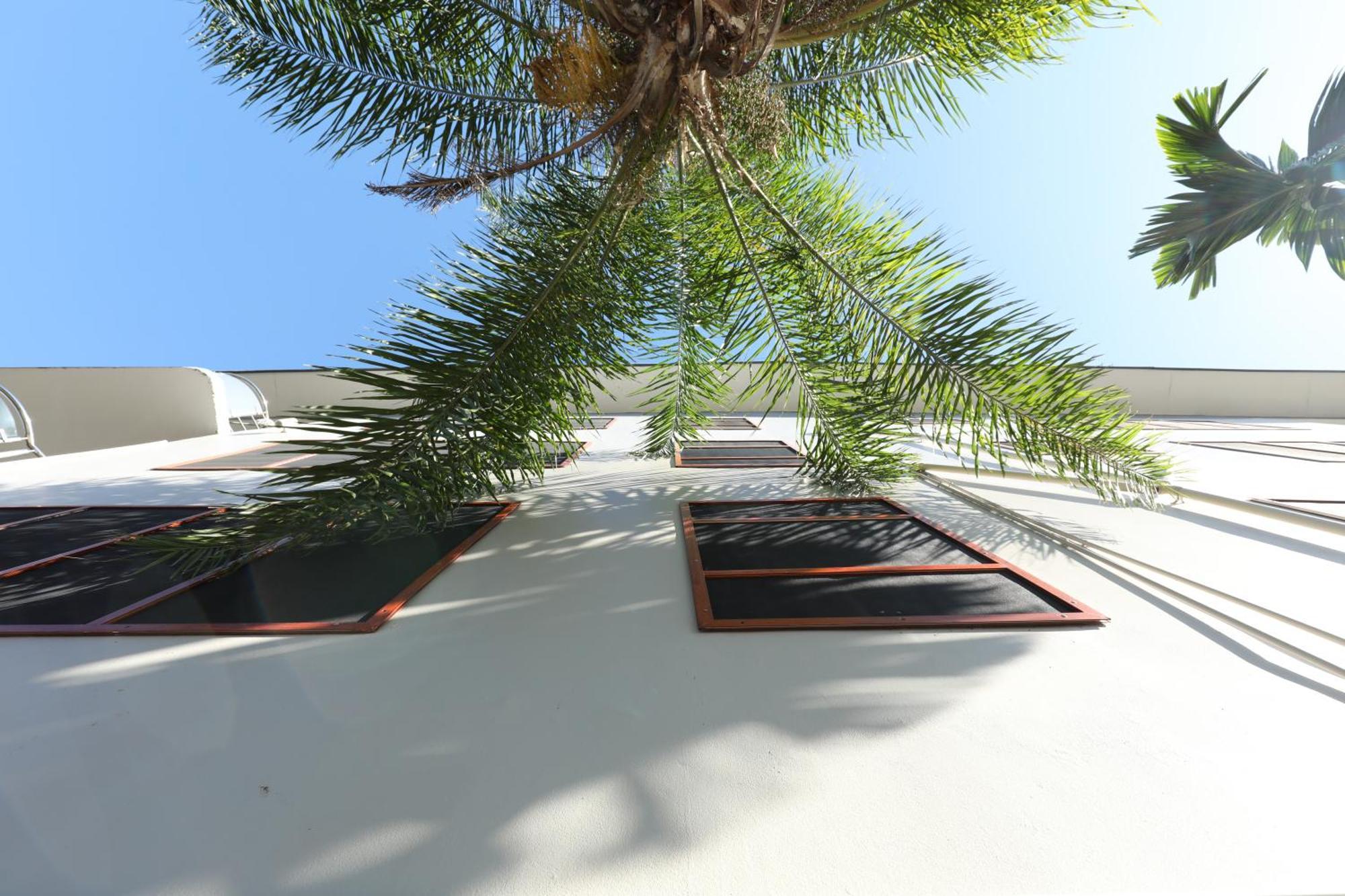 Tropical Plaza Apartment Nadi
