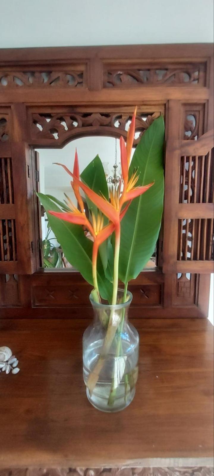 Residence71nadi Fiji