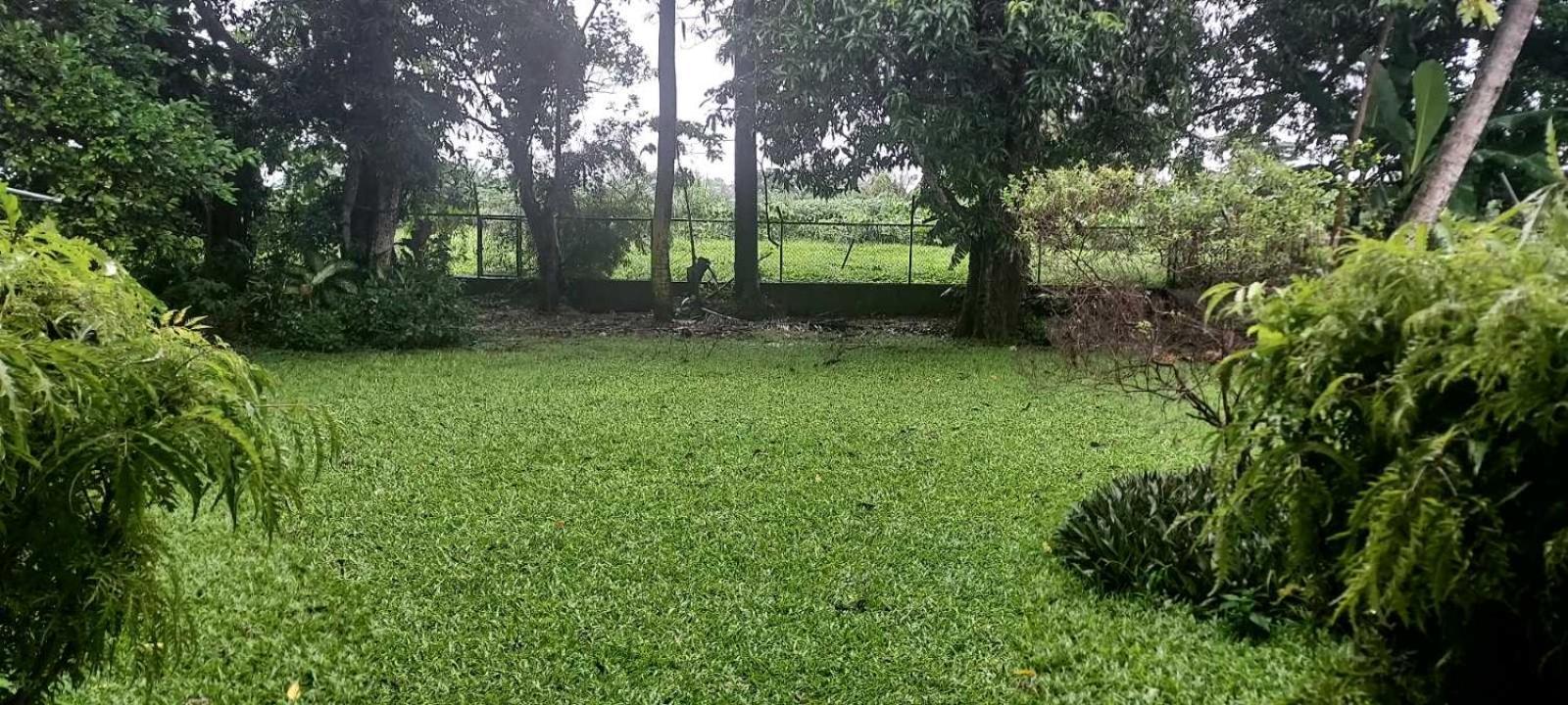 Homestay Residence71nadi Fiji Nadi