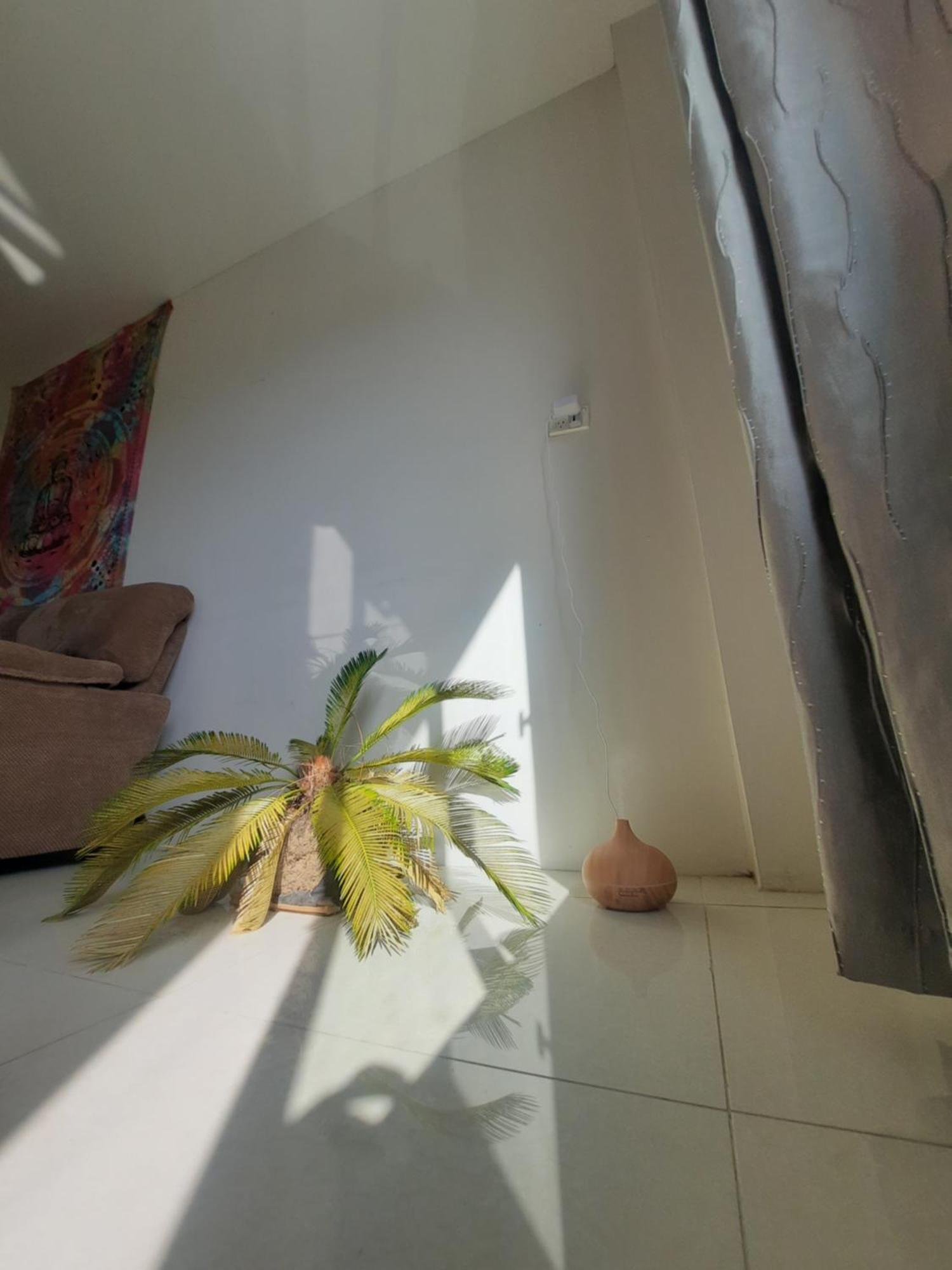 Bula Bliss With Sunset View Apartamento