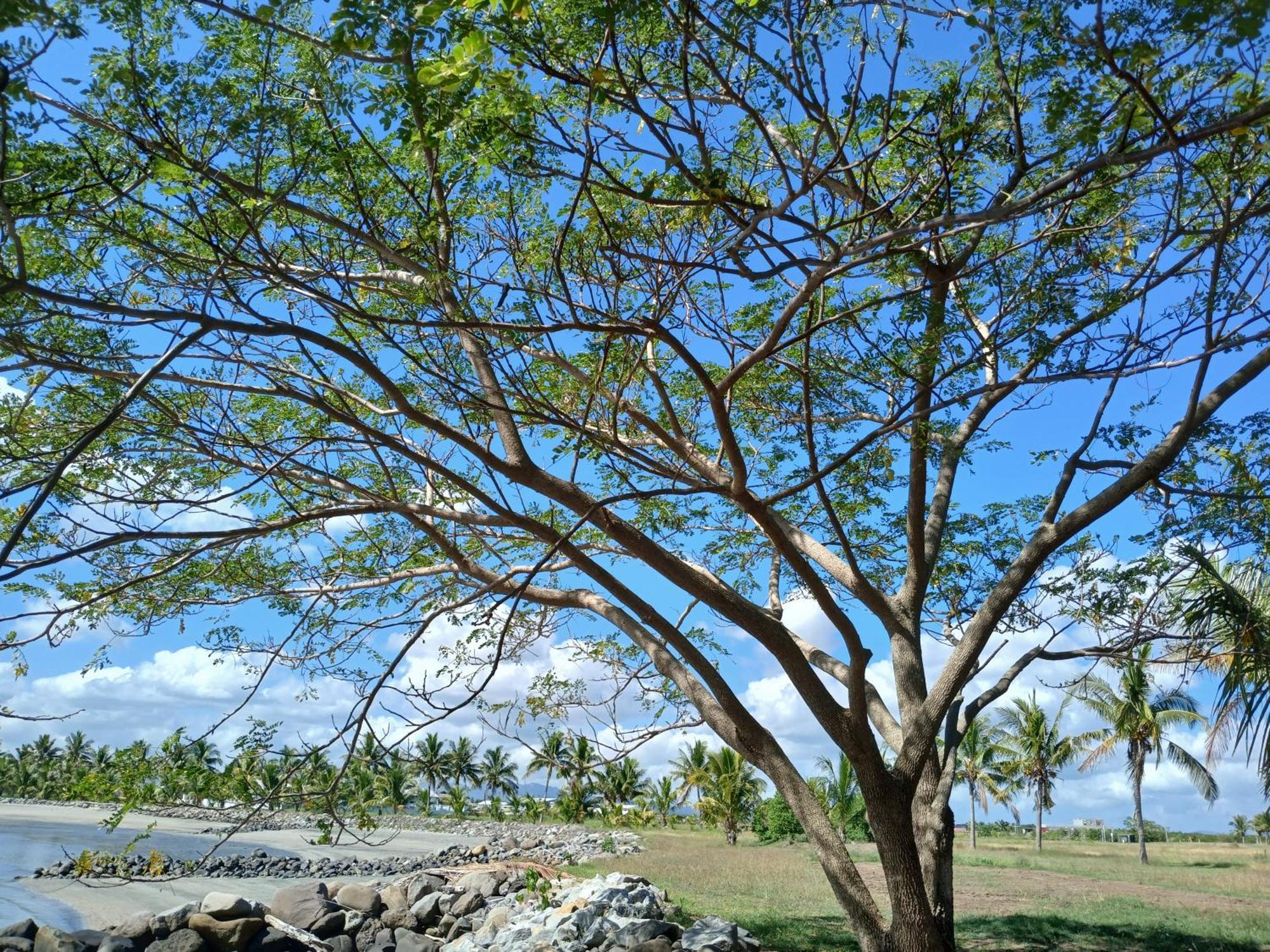 Fantasy Island Holiday House Nadi