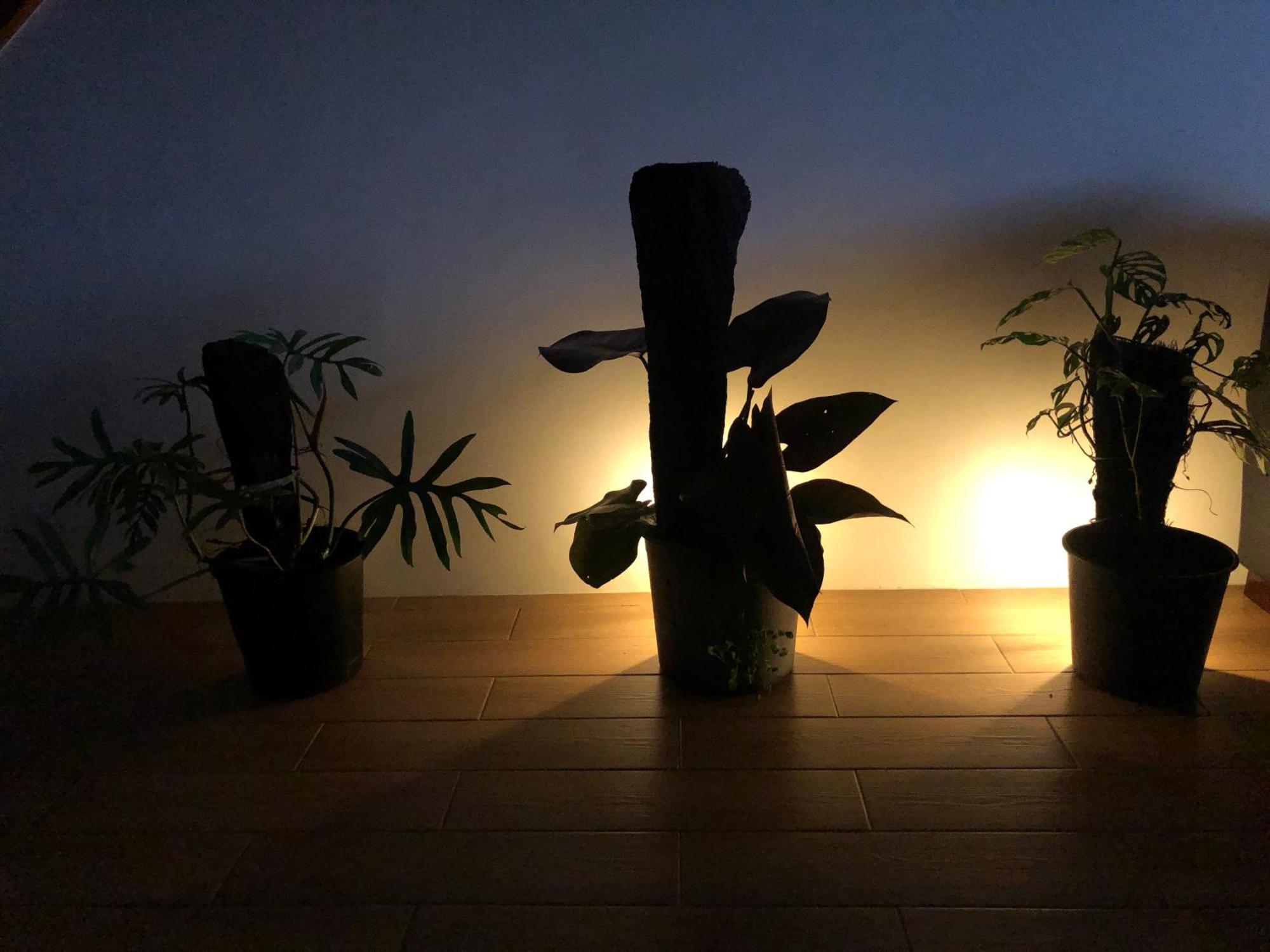 Balabala I Bed & Breakfast