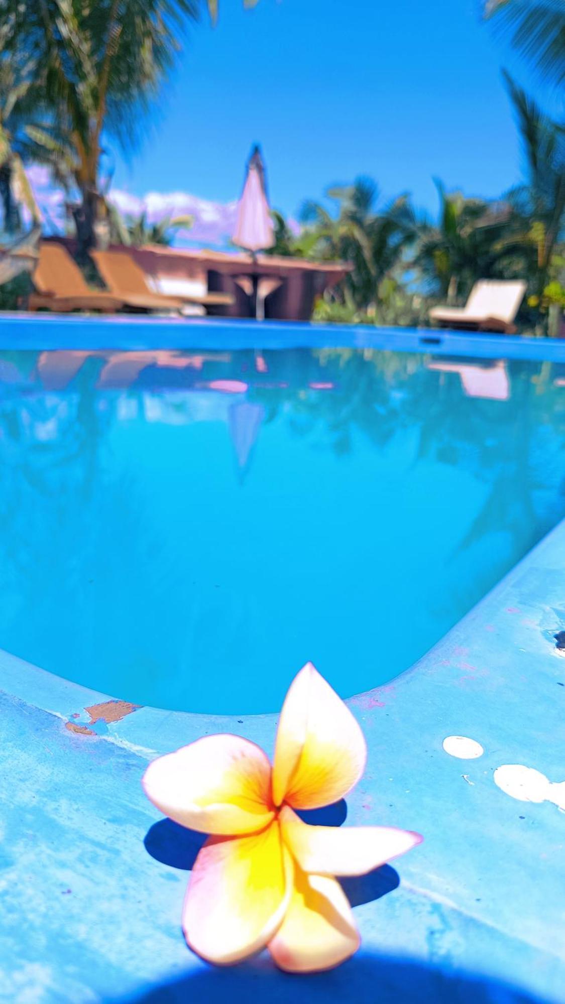Fancy Hotel 4*