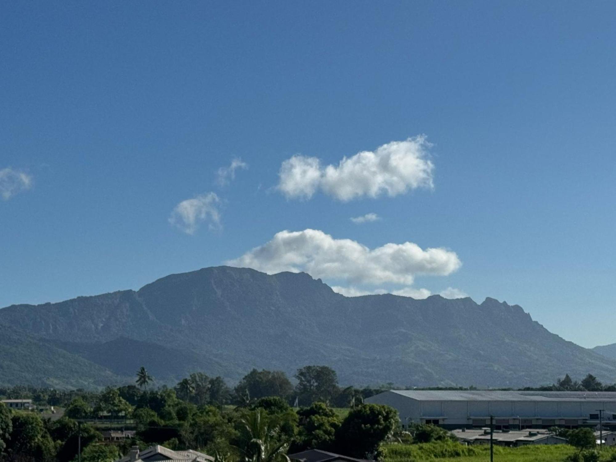 Bula Bliss With Mountain View Apartment