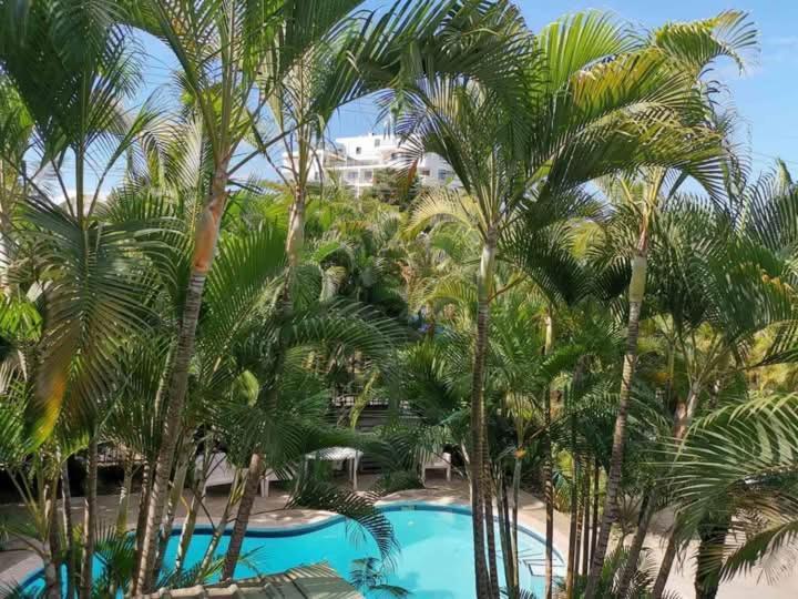 Apartment Oasis Nadi