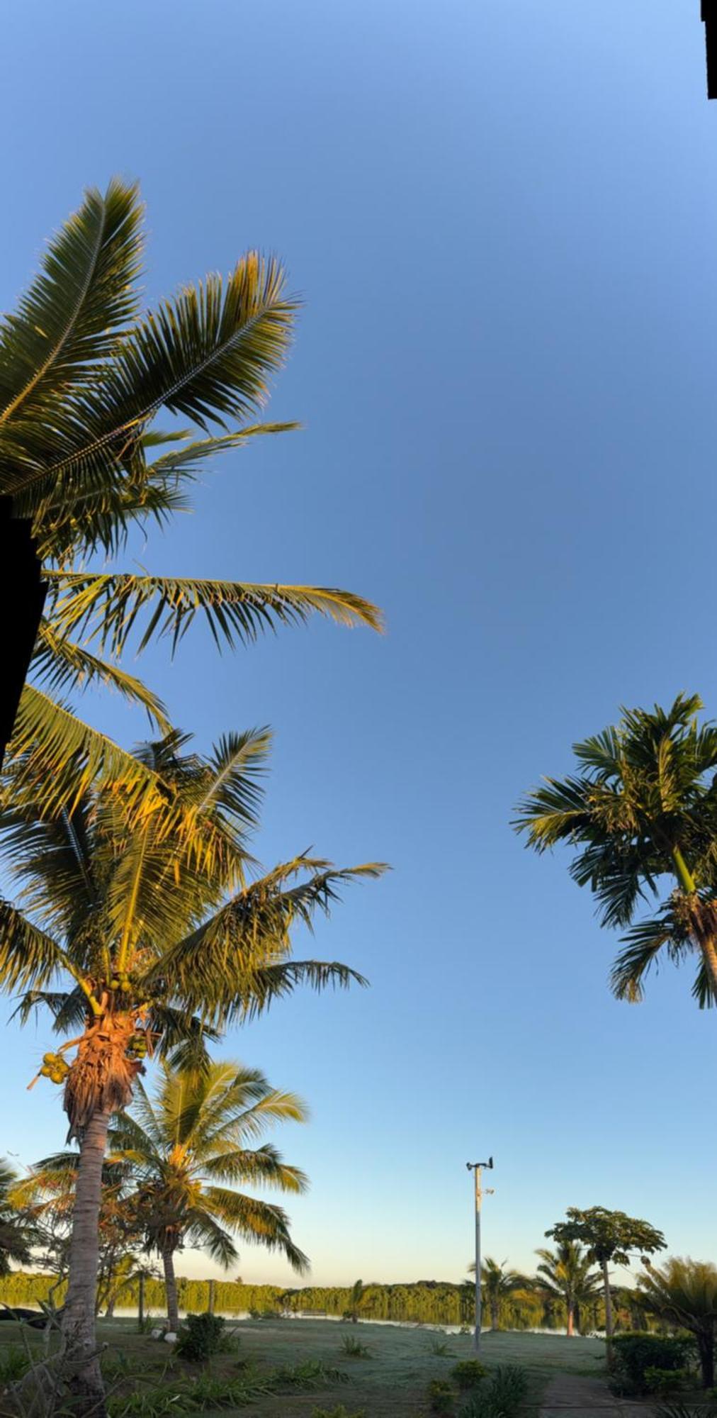 Bula