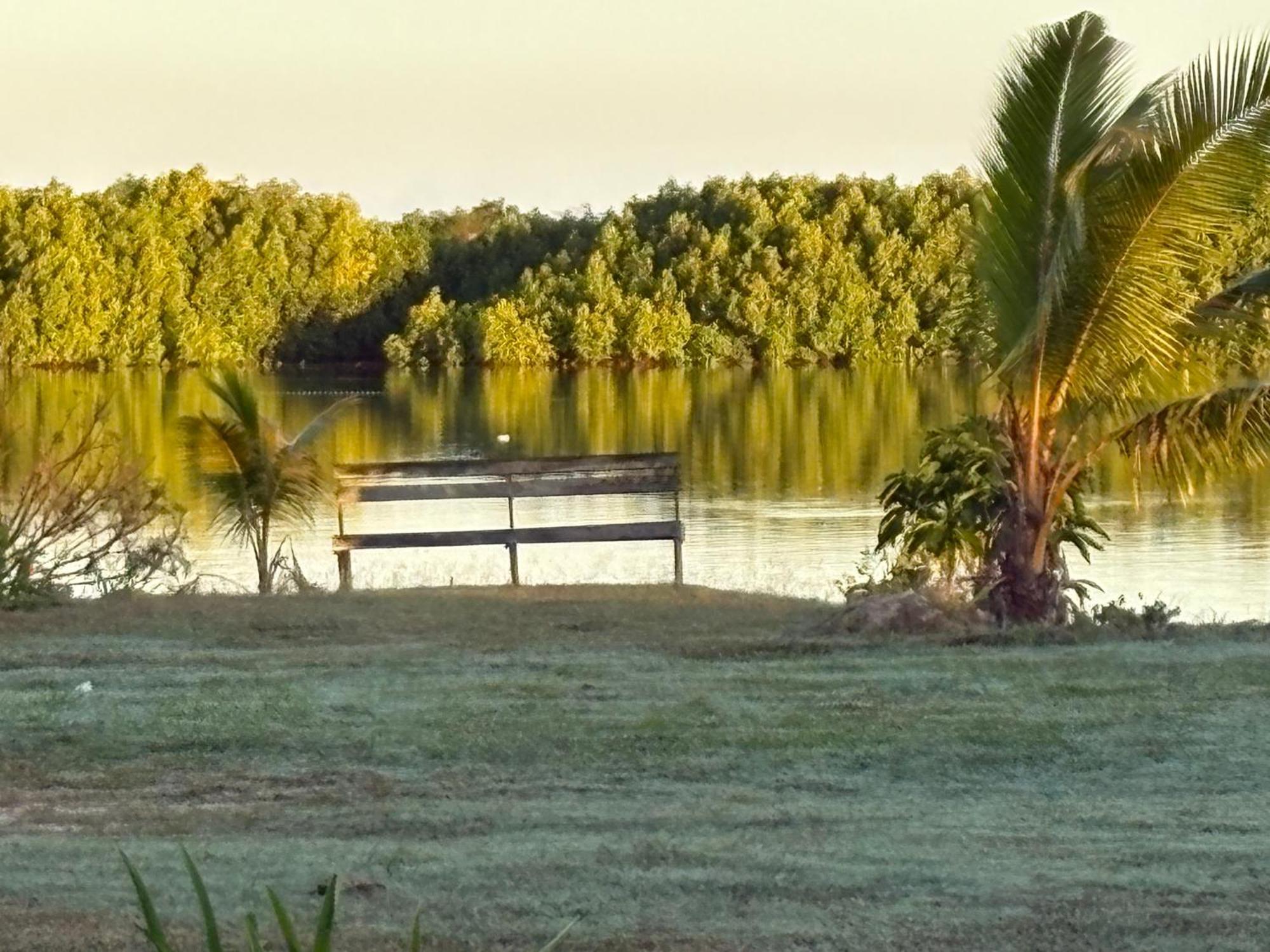 Bula *