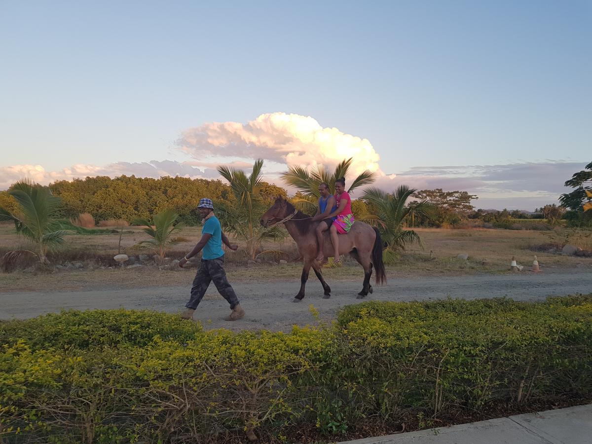 Resort Bayview Cove Nadi